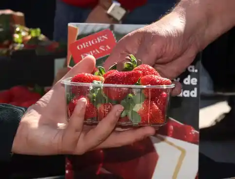 🍓🎉 ¡500 tarrinas de Fresa de Huelva GRATIS! 🚀🍽️ (Valladolid - 12/03)