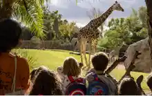 🐾 Entrada GRATIS para niños en Bioparc con la compra de un adulto 🎟️