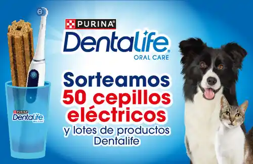 🎉 ¡Gana cepillos eléctricos y lotes Dentalife con Purina! 🐶🦷(Sorteo por compra)
