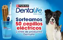 🎉 ¡Gana cepillos eléctricos y lotes Dentalife con Purina! 🐶🦷(Sorteo por compra)