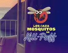 ✈️🌴 ¡Kill Paff sortea un viaje inolvidable para dos personas! 💑🎉 (Sorteo por compra)