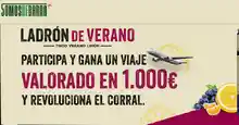 🌞 ¡Ladrón de Verano regala 4️⃣ premios de 1.000 € para que vivas el viaje de tus sueños! ✈️💶🎁 (Sorteo por compra)