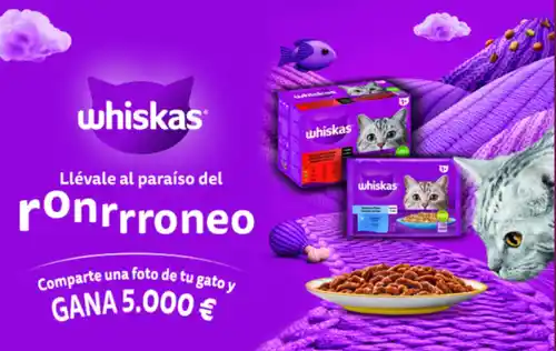 📸 ¡Comparte una foto de tu gato y podrías ganar 5.000€ con Whiskas! 🐱💰 (Sorteo por compra)