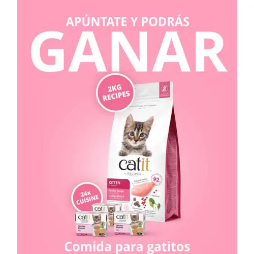 🎉🐱 ¡Catit sortea comida para gatos! 🍽️🎁