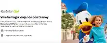 🎉✨ Sprinter sortea un viaje mágico a Disneyland Paris 🏰✈️(Sorteo por compra)