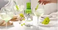 🍸 ¡TRND lanza un nuevo proyecto con ginebra G'Vine Gin! 🎉 (Club de probador@s)