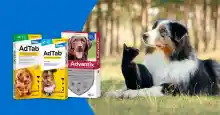 🐾 Trnd proyecto - Protege a tu mascota con Elanco | Adtab y Advantix 🐶💊 (Club de probador@s)