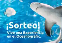 Agrado sortea 16 kits solares y 4 experiencias  en oceanográfic(sorteo por compra)