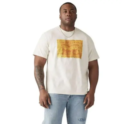 CAMISETA LEVI'S GRANDE | XXL