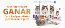 CATIT REGALA UN PACK DE PIENSO PARA GATOS