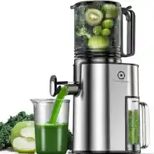 CelerySpec Extractor de Jugos de Frutas y Verduras, Prensado en Frío