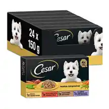 Cesar Comida Húmeda para Perros, Selección Recetas Campesinas en Salsa, Multipack (Pack de 6 x 4 Tarrinas x 150g)