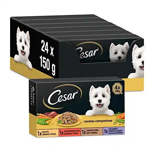Cesar Comida Húmeda para Perros, Selección Recetas Campesinas en Salsa, Multipack (Pack de 6 x 4 Tarrinas x 150g)