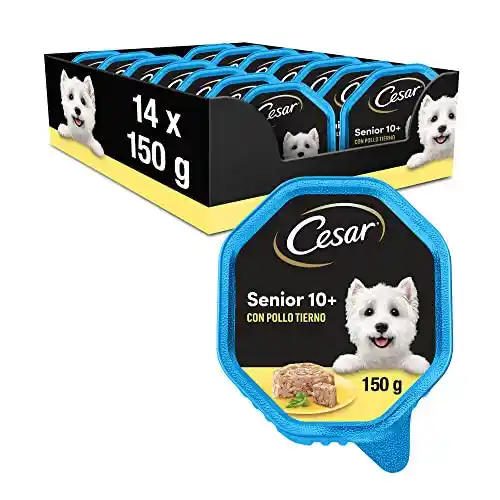 Cesar Comida Húmeda para Perros Senior en Paté con Pollo y Arroz (Pack de 14 Tarrinas x 150g)
