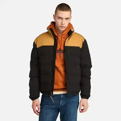 Chaqueta acolchada impermeable Timberland Welch Mountain