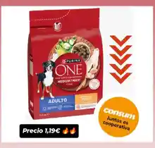 Consigue la bolsa de pienso Purina ONE por solo 1,19 € combinando cupón + reembolso 🐶🔥