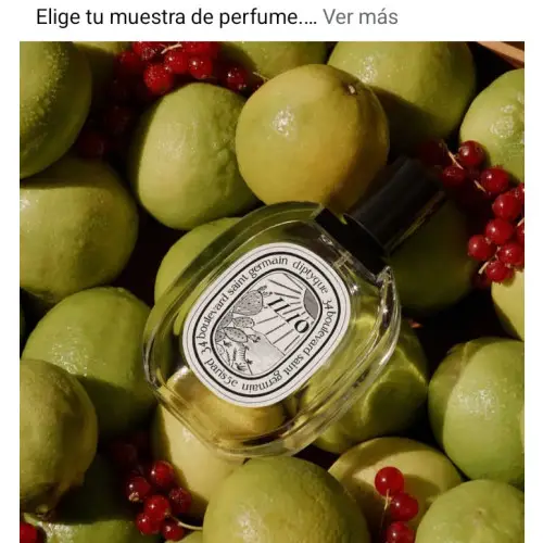 Consigue una muestra gratis de Diptyque (interactúa con la marca)