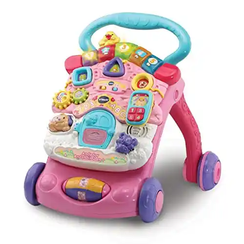 Correpasillos Andandín 2 en 1 VTech para niños