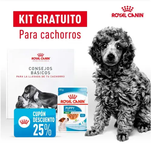 Kit gratuito a casa para cachorros o gatitos Royal Canin (No hay link directo, leer descripción)