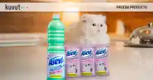 Kuvut busca 300 probadores de Asevi  fregasuelos de mascotas