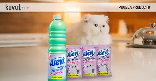 Kuvut busca 300 probadores de Asevi  fregasuelos de mascotas
