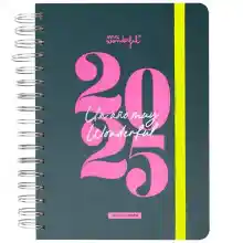 Mr. Wonderful - Agenda Office 2025 Diaria - Un año muy wonderful - Incluye 8 Hojas de Pegatinas y Bloc de Notas Adhesivas con Formas