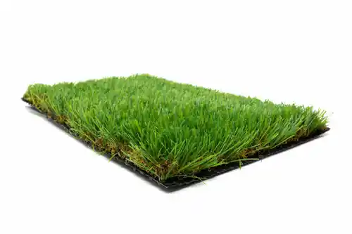 Muestra gratis de césped - Envío gratis