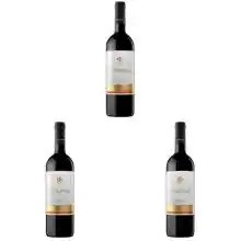Pack 3 botellas de vino Ederra Crianza Rioja