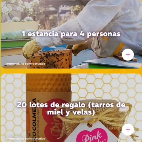 PINK LADY Regala experiencia de apicultura, botes de miel y velas (Sorteo)
