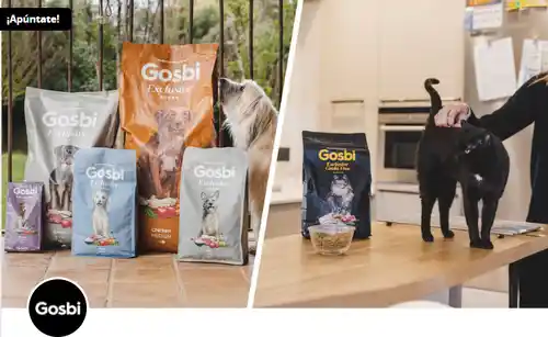 Prueba gratuita de productos Gosbi para perros y gatos: ¡1.000 plazas disponibles! (Club de Probador@s)