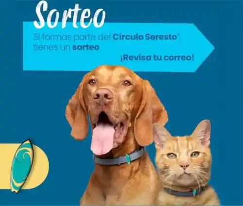 Seresto sortea un packs con una bolsa y un identificador de maleta(sorteo)