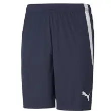 SHORTS PUMA HOMBRE