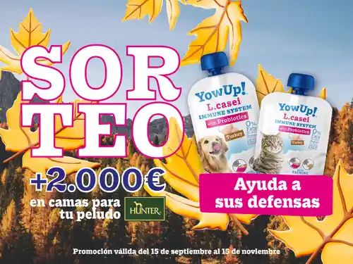 Sorteo por compra de camas de mascota  - Yow Up! (Sorteo por compra)