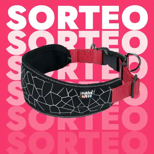 Sorteo Primavera collar para perros - SmartDog