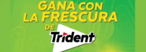 Trident sortea 96 cheques de Amazon (sorteo por compra)