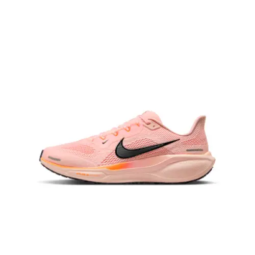 Zapatillas de running Nike Pegasus 41 para hombre